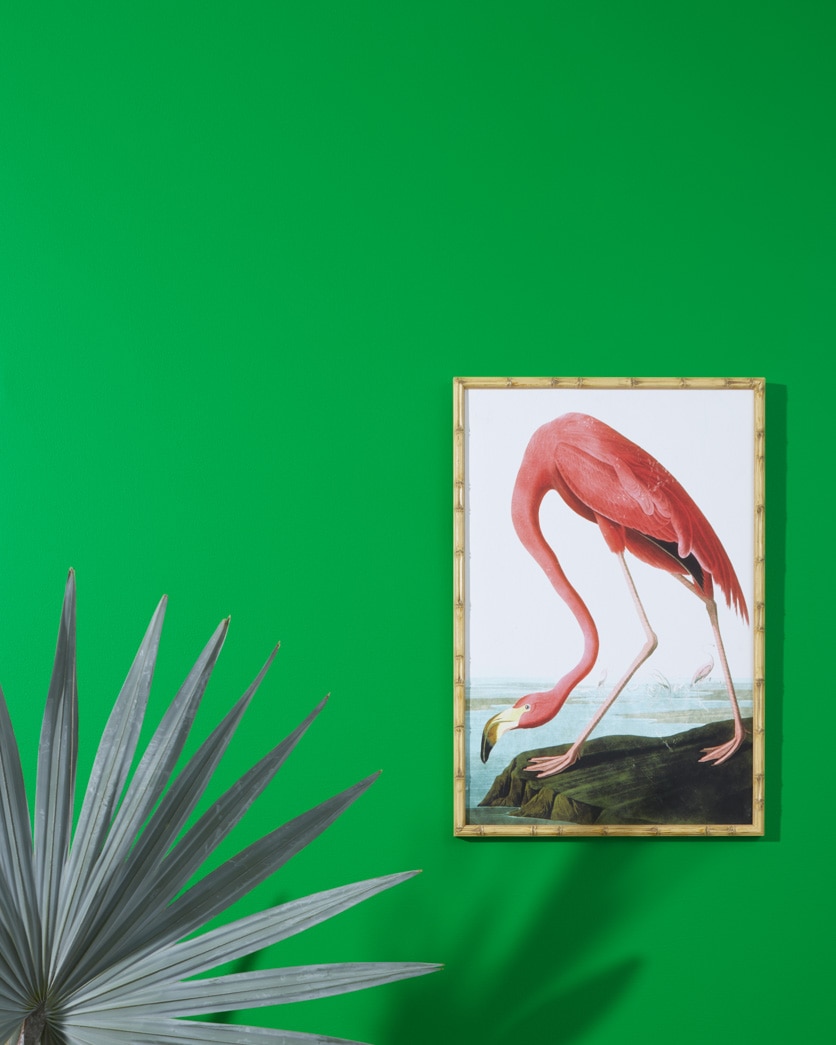 Painted wall in Peppermint Leaf 2033-20