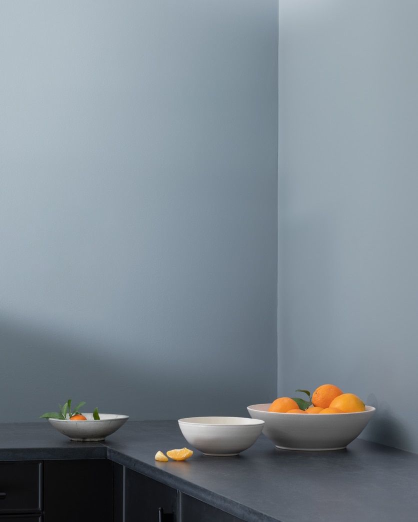 Painted wall in Pike's Peak Gray 2127-50