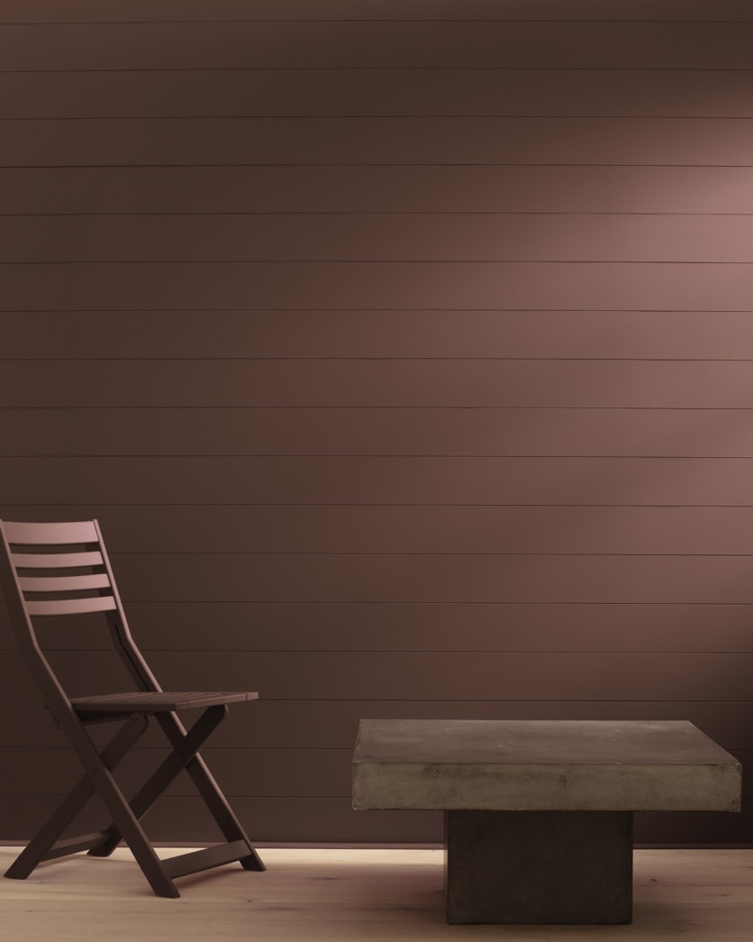 Painted wall in Pine Cone Brown 2113-20