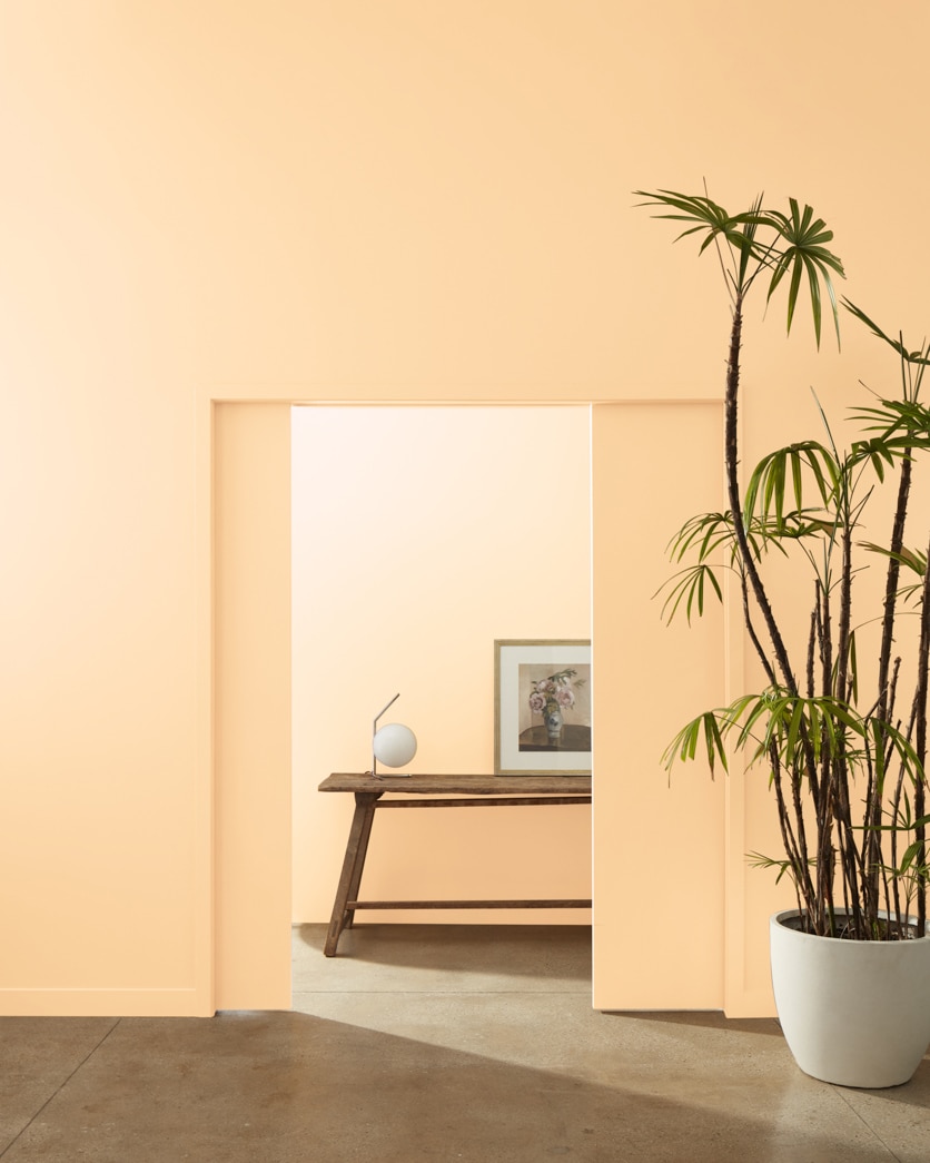 Painted wall in Pineapple Orange 158