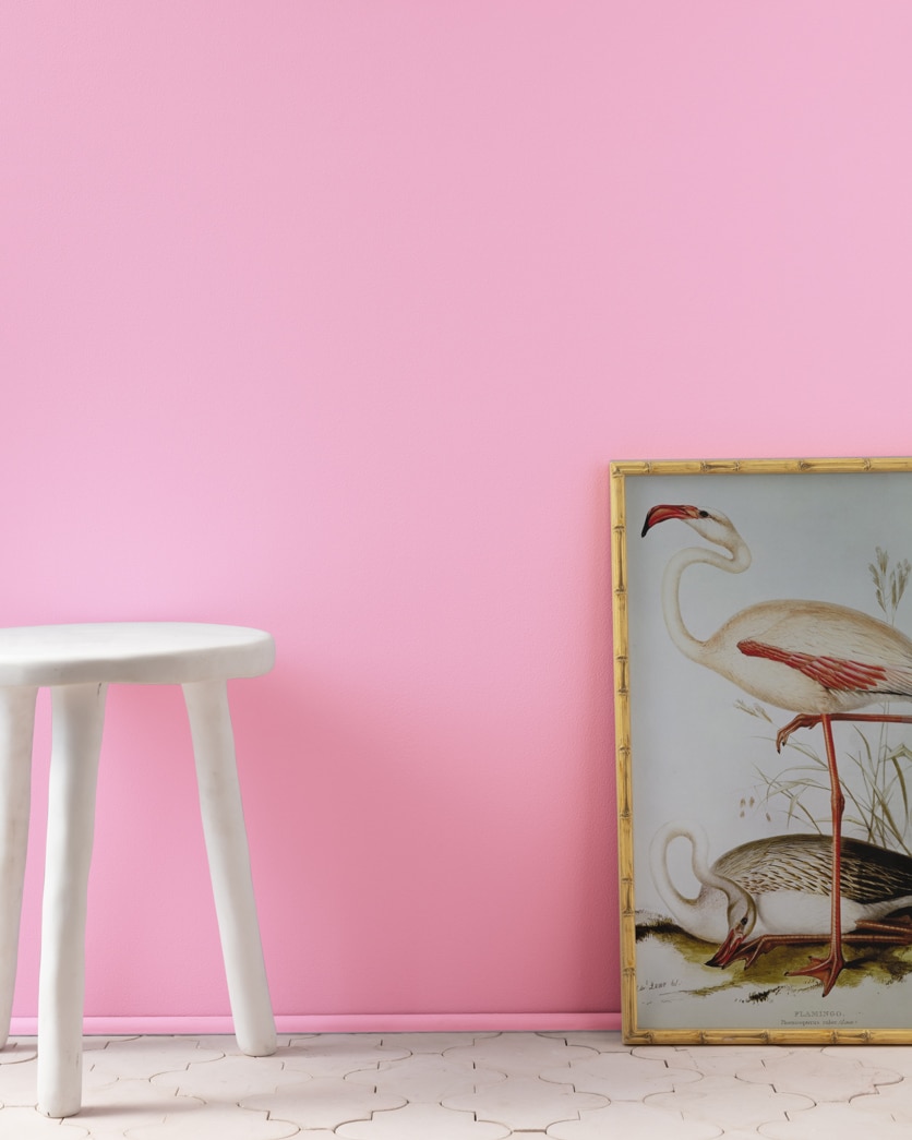 Painted wall in Pink Begonia 2078-50