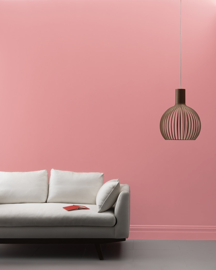 Painted wall in Pink Buff 1285