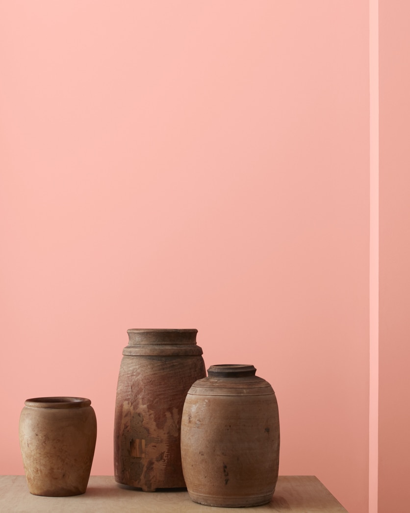 Painted wall in Pink Canopy 010