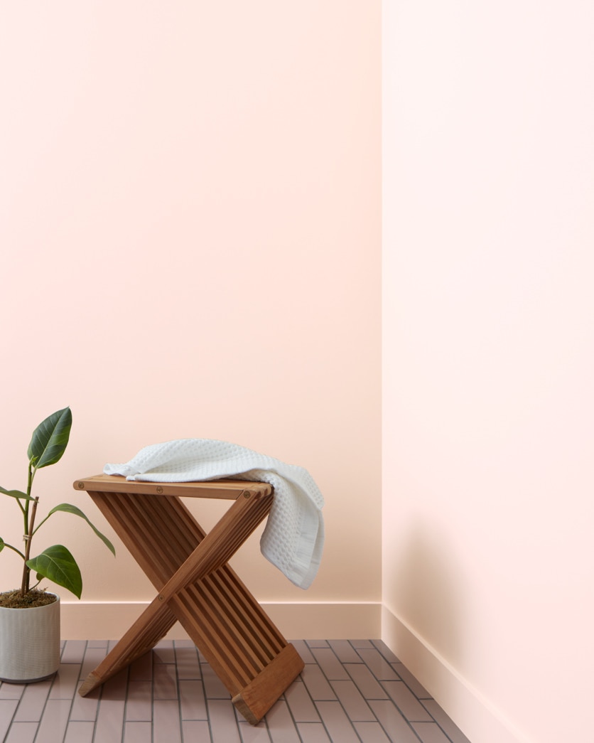 Painted wall in Pink Cloud 887