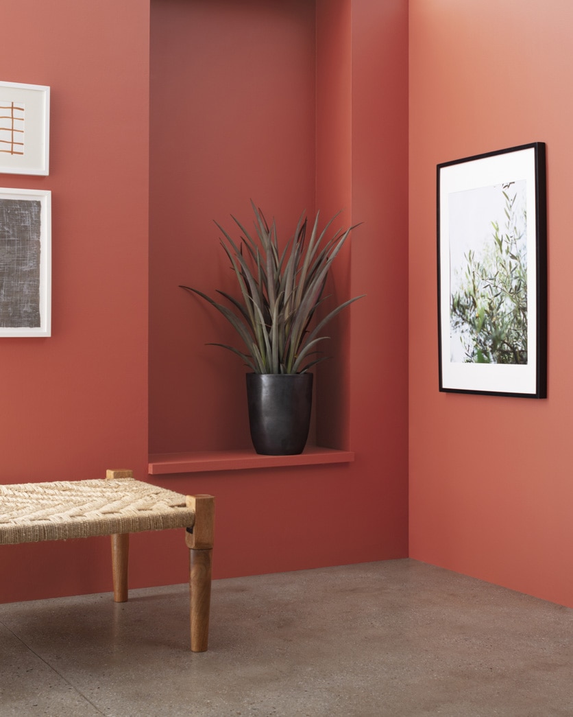 Painted wall in Pink Mix 2089-30
