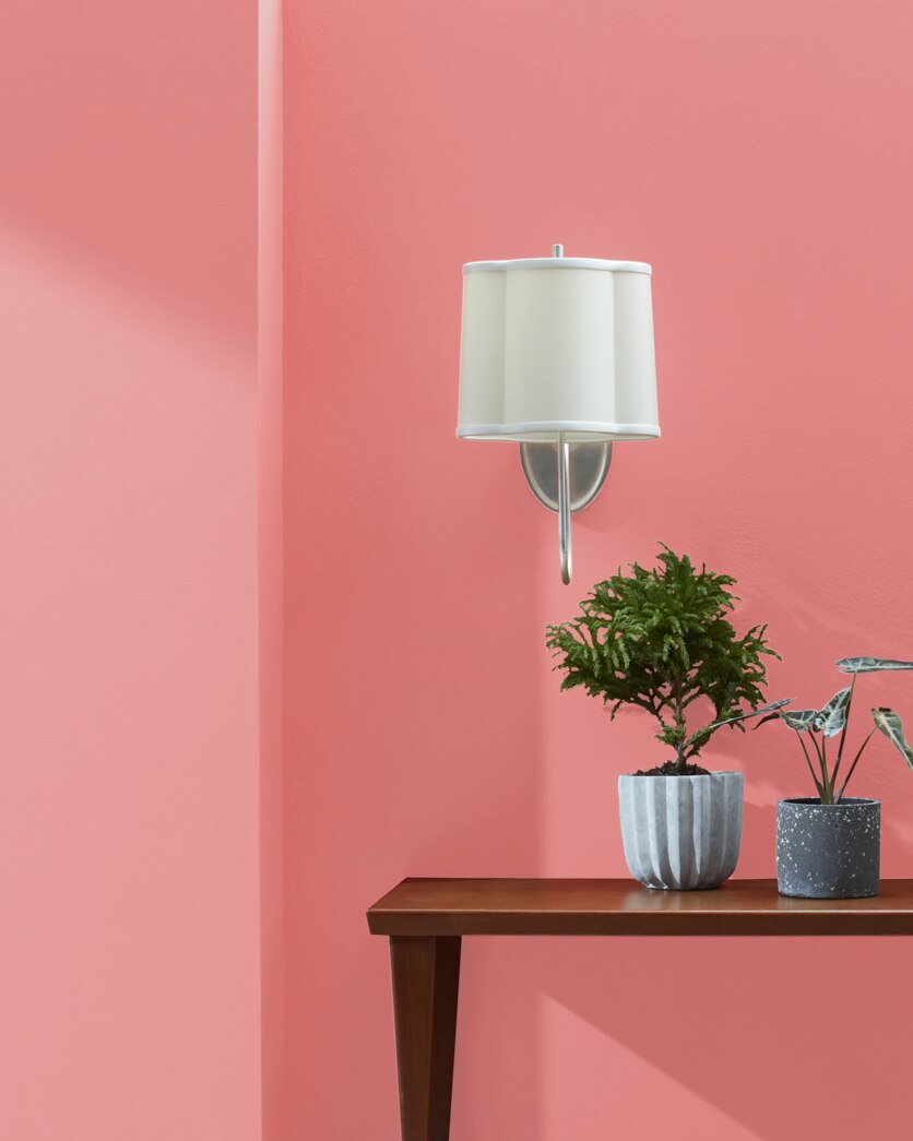Painted wall in Pink Peach 2009-40
