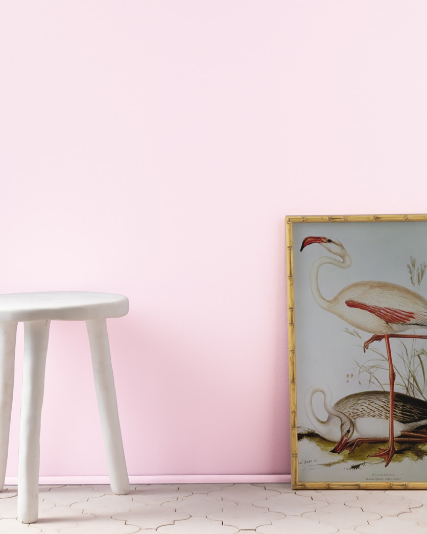 Painted wall in Pink Peony 2078-70