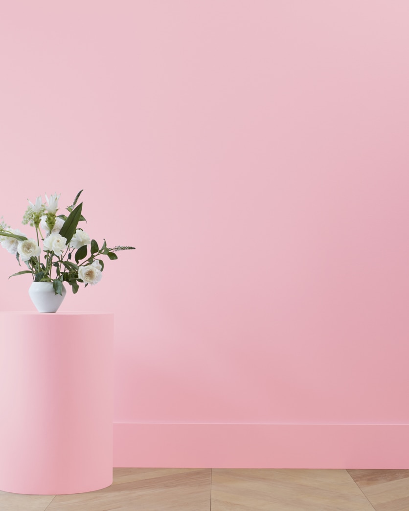 Painted wall in Pink Ruffle 2081-50
