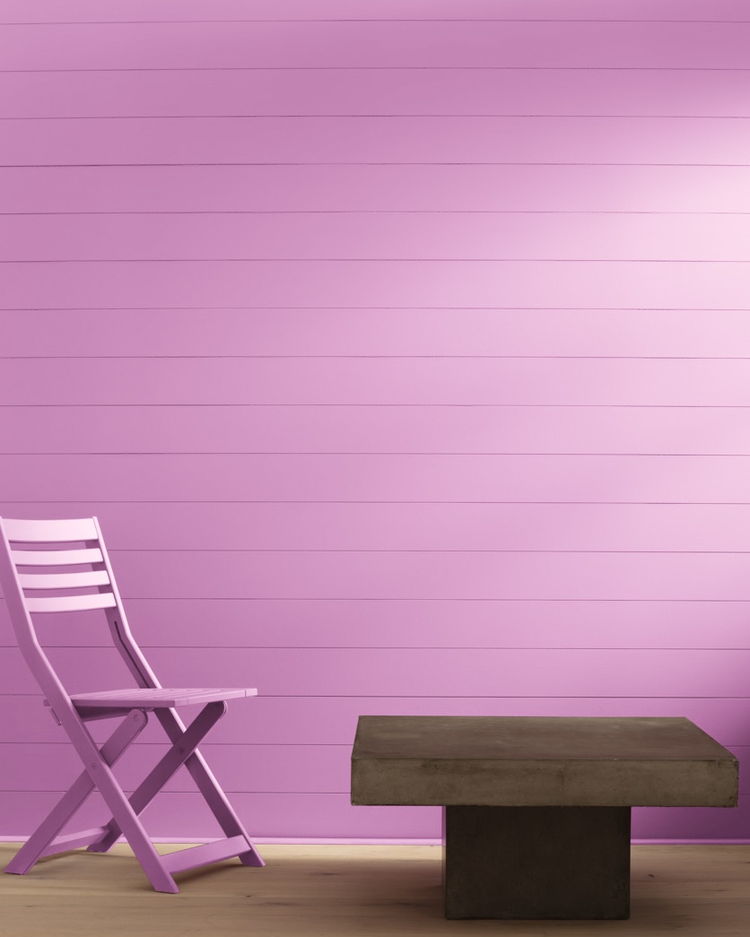 Painted wall in Pink Taffy 2075-50