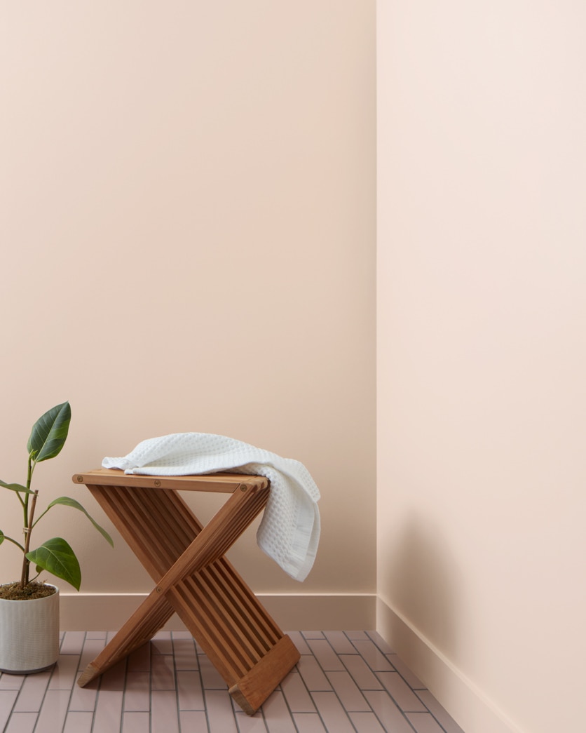 Painted wall in Pinky Swear CSP-340
