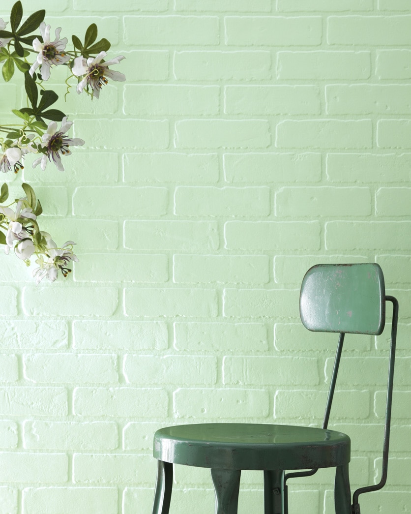 Painted wall in Pistachio 561