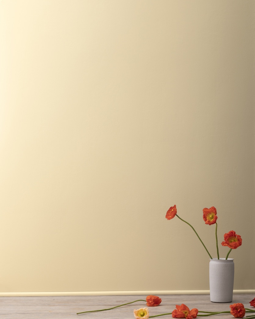 Painted wall in Pittsfield Buff HC-24