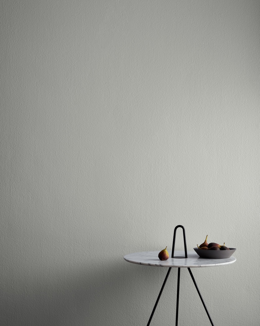 Painted wall in Platinum Gray HC-179