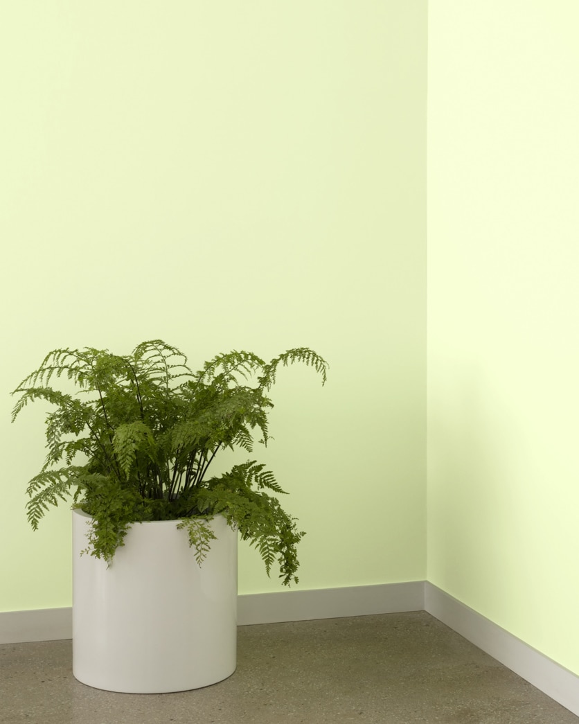 Painted wall in Polar Lights 400