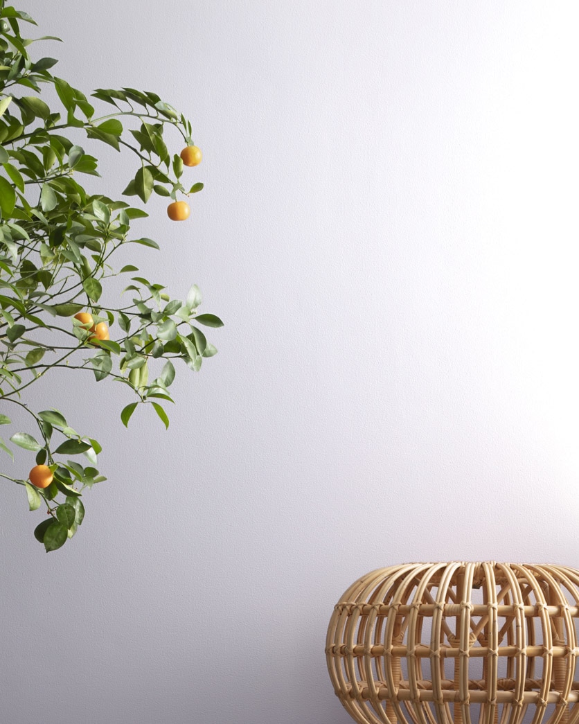 Painted wall in Polar White 2069-70