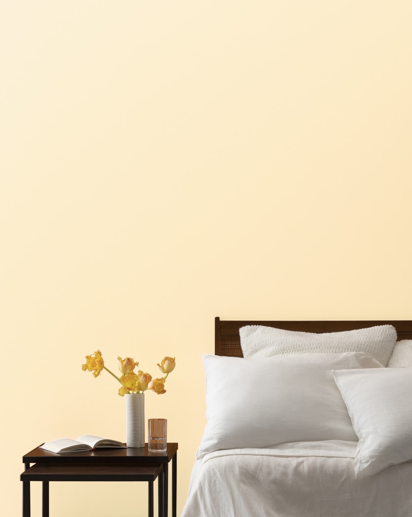 Painted wall in Porter Ranch Cream 148