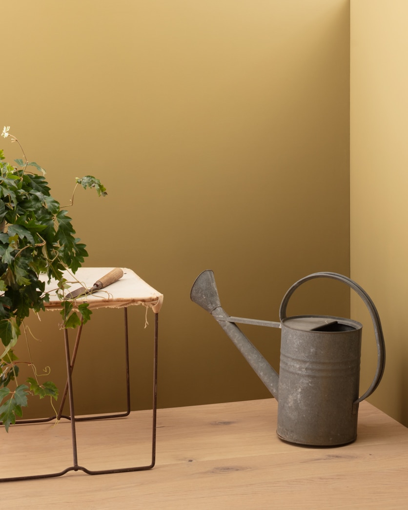 Painted wall in Porter Ridge Tan 250