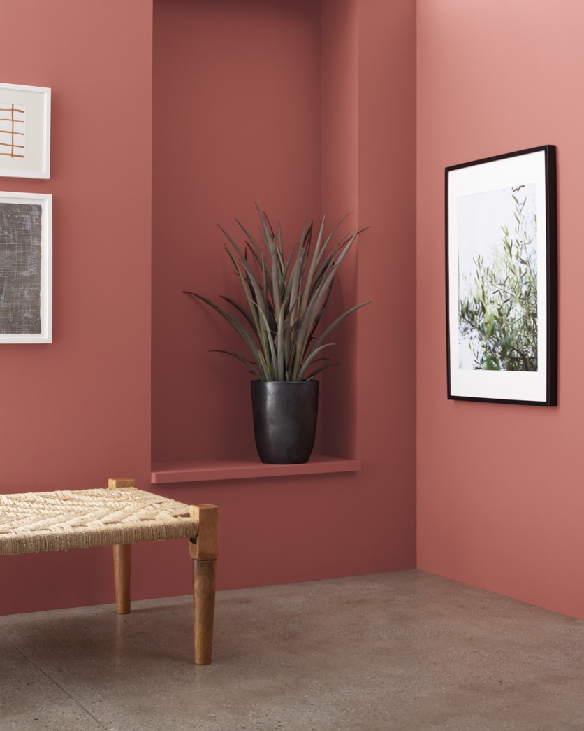 Painted wall in Potters Wheel 1294