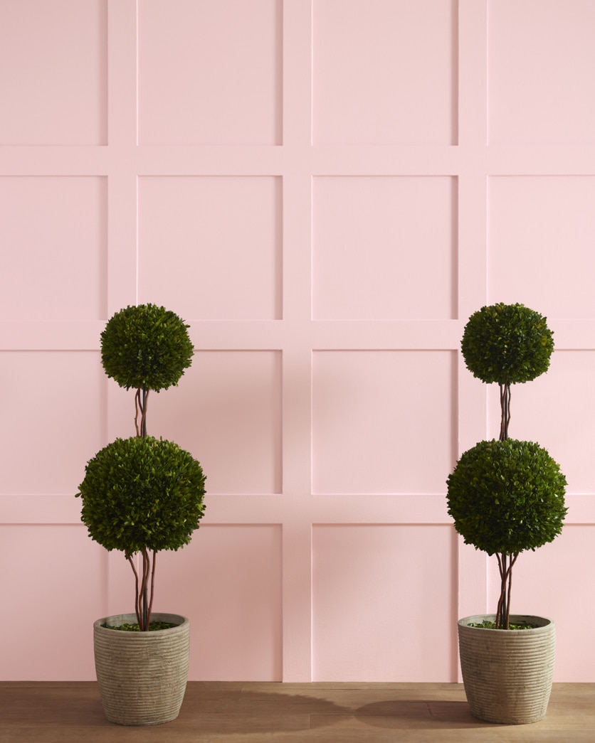 Painted wall in Powder Blush 1338