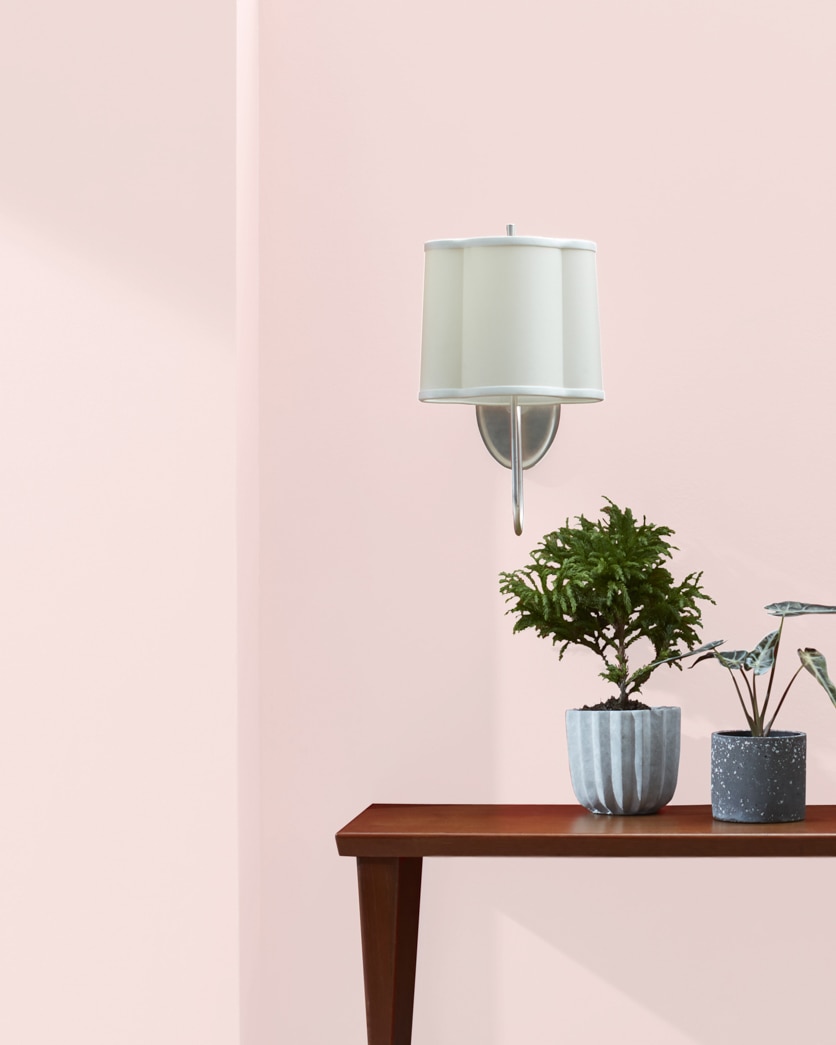 Painted wall in Powder Pink 2009-70