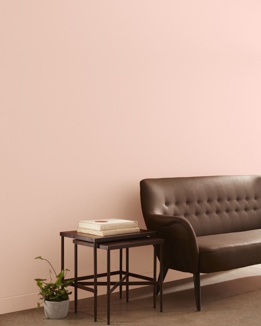 Painted wall in Precocious 051