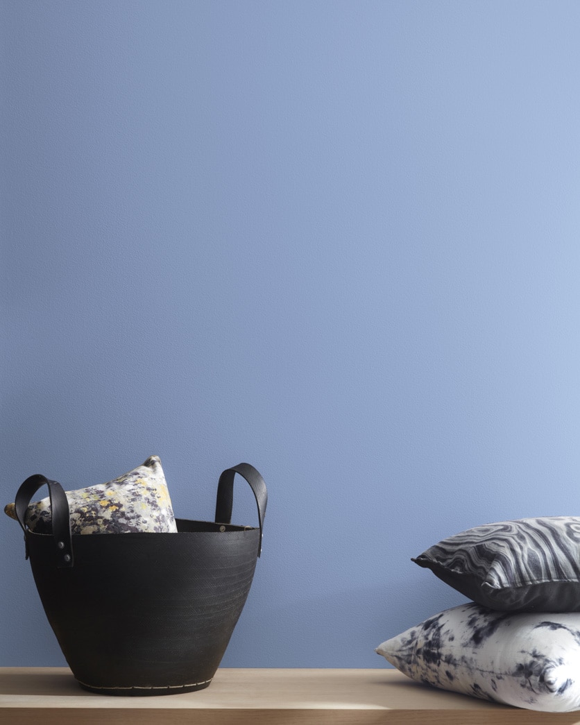 Painted wall in Pressed Violet CSP-520