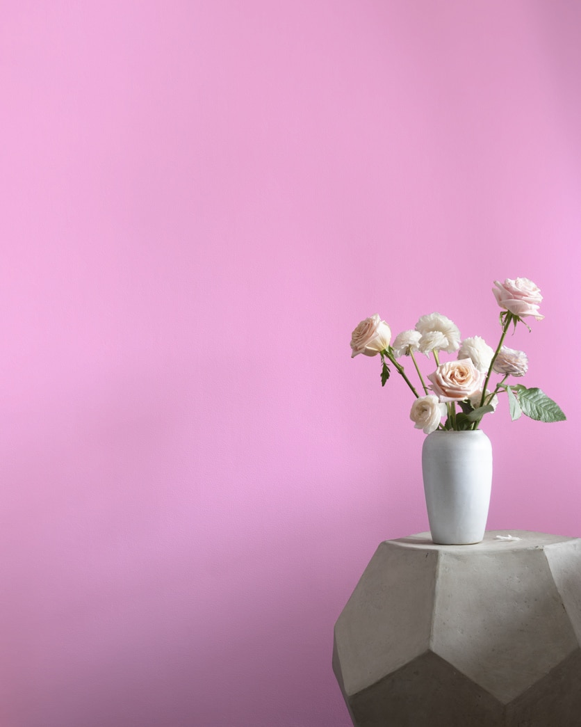 Painted wall in Pretty Pink 2077-50