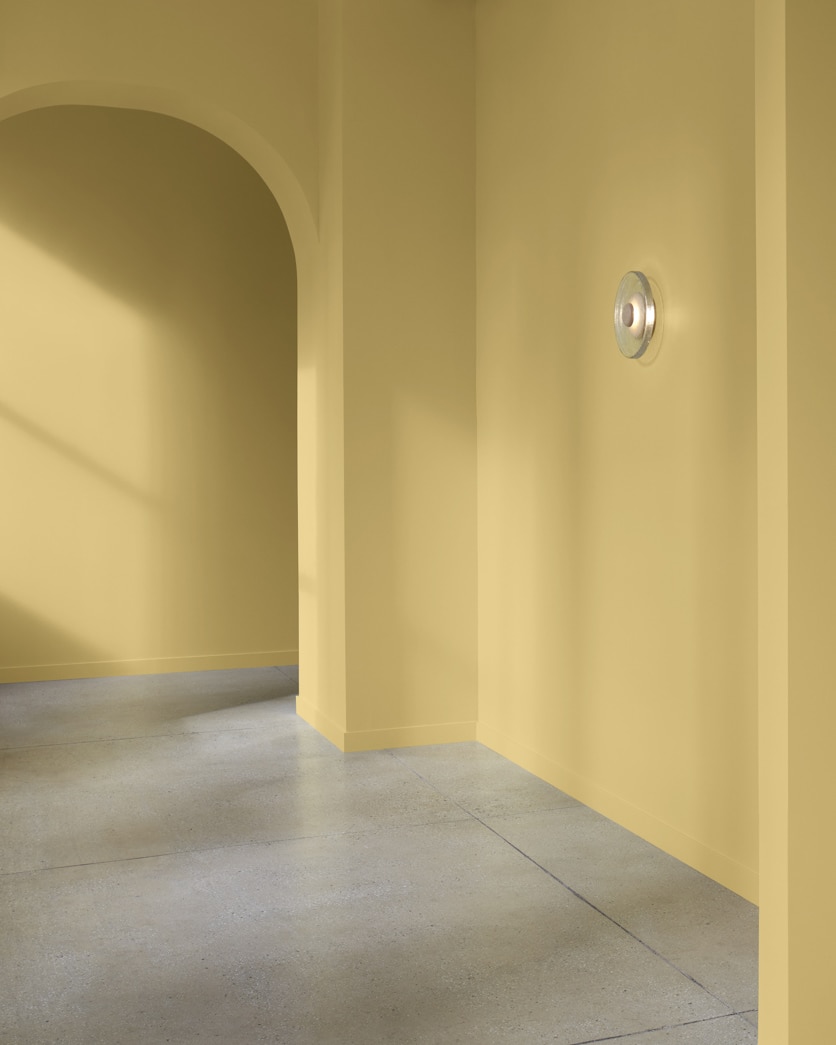 Painted wall in Princeton Gold HC-14