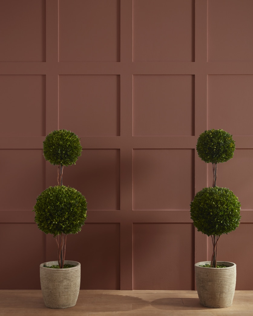 Painted wall in Pumpernickel 2102-20
