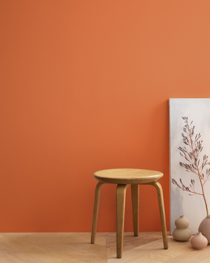 Painted wall in Pumpkin Cream 2168-20