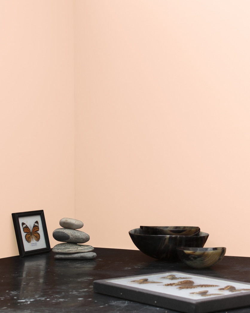 Painted wall in Pumpkin Mousse 058
