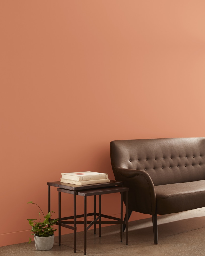 Painted wall in Pumpkin Patch 055