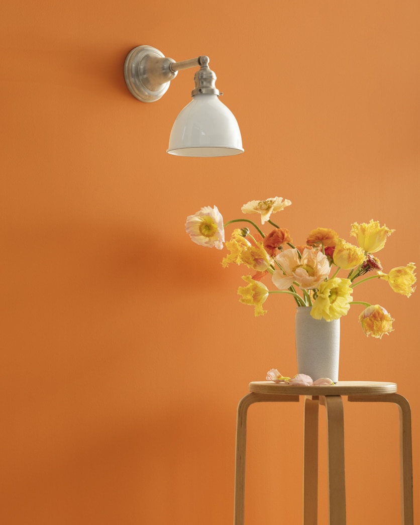 Painted wall in Pumpkin Spice 126