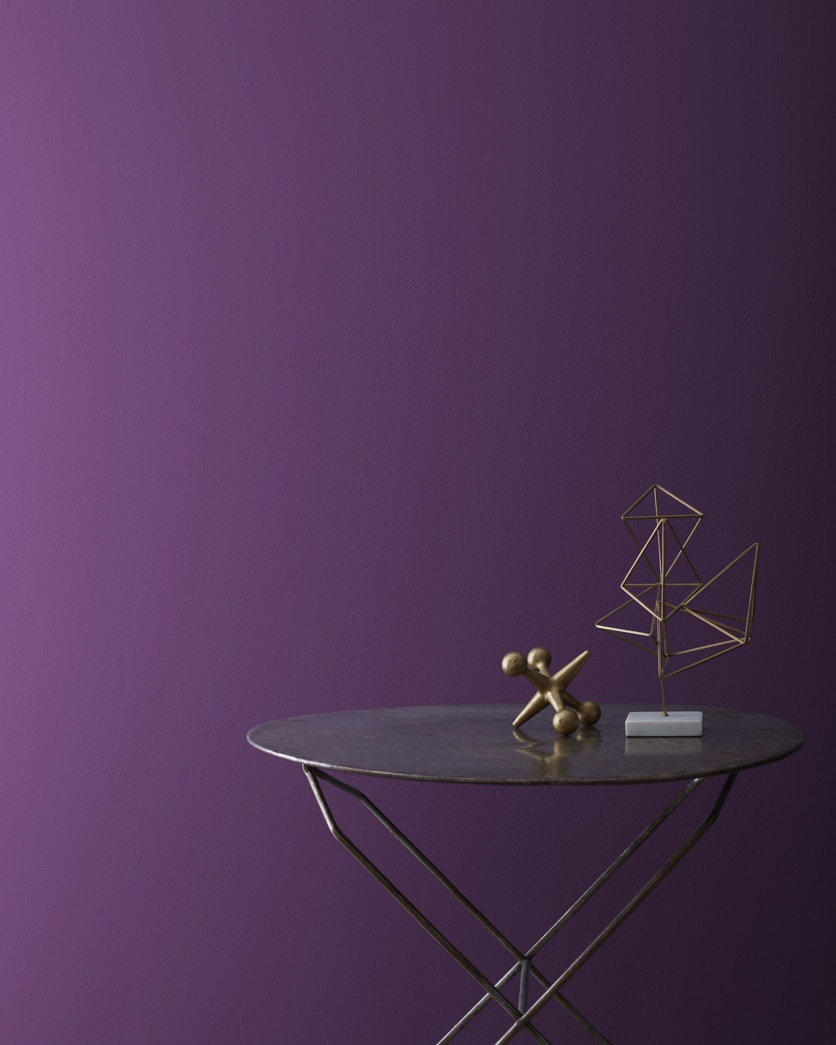 Painted wall in Purplicious CSP-465