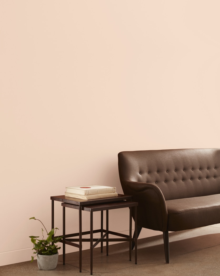 Painted wall in Queen Anne Pink HC-60