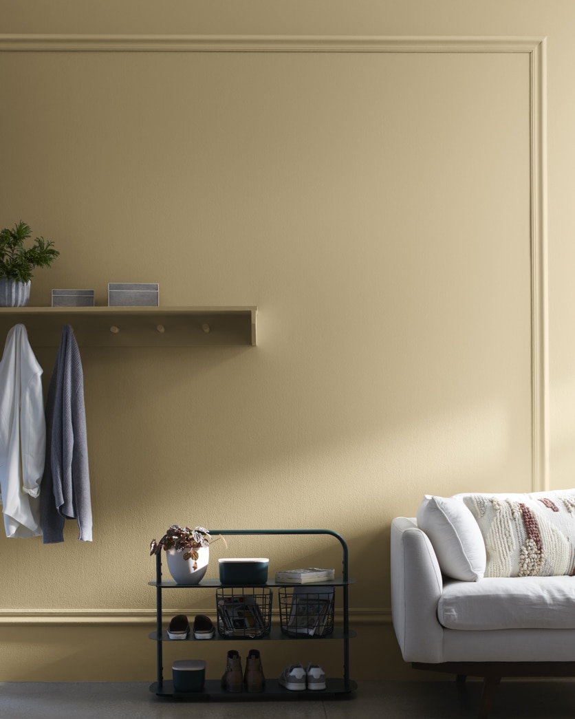 Painted wall in Quincy Tan HC-25