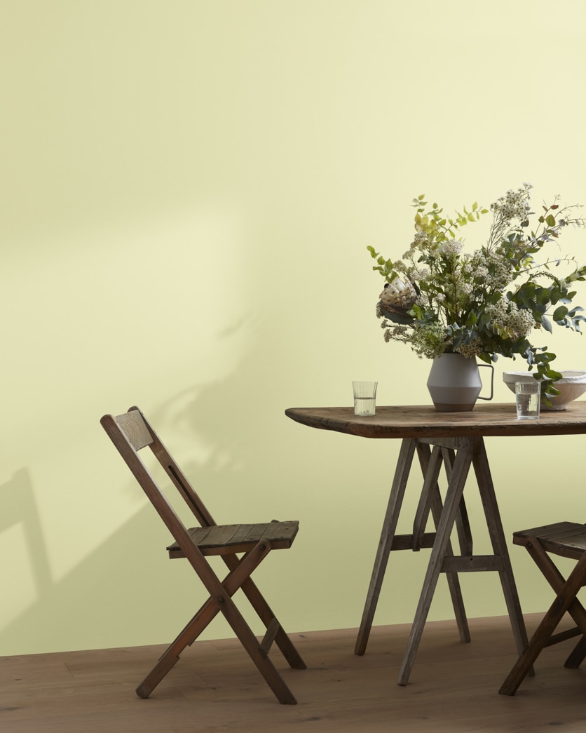 Painted wall in Rainforest Dew 2146-50