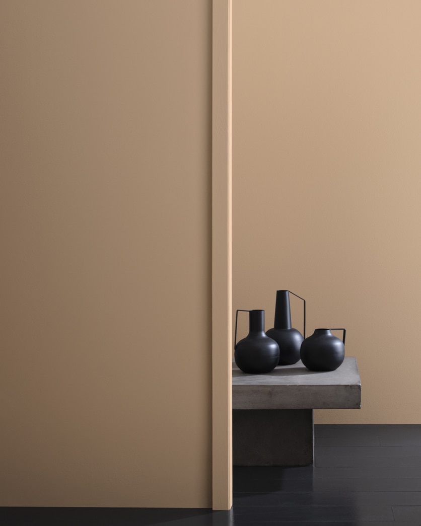 Painted wall in Raleigh Tan CW-190