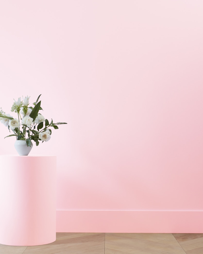 Painted wall in Ribbon Pink 2087-60