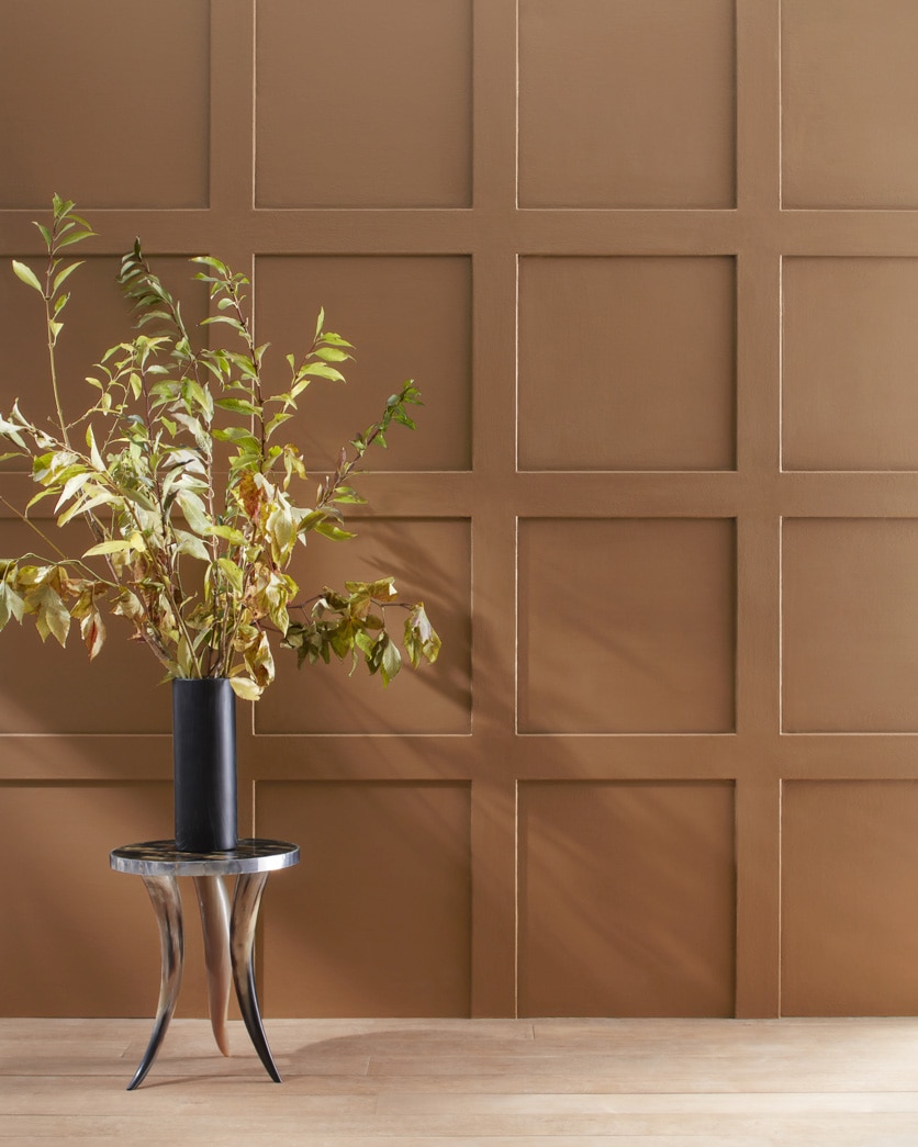 Painted wall in Rich Clay Brown 2164-30