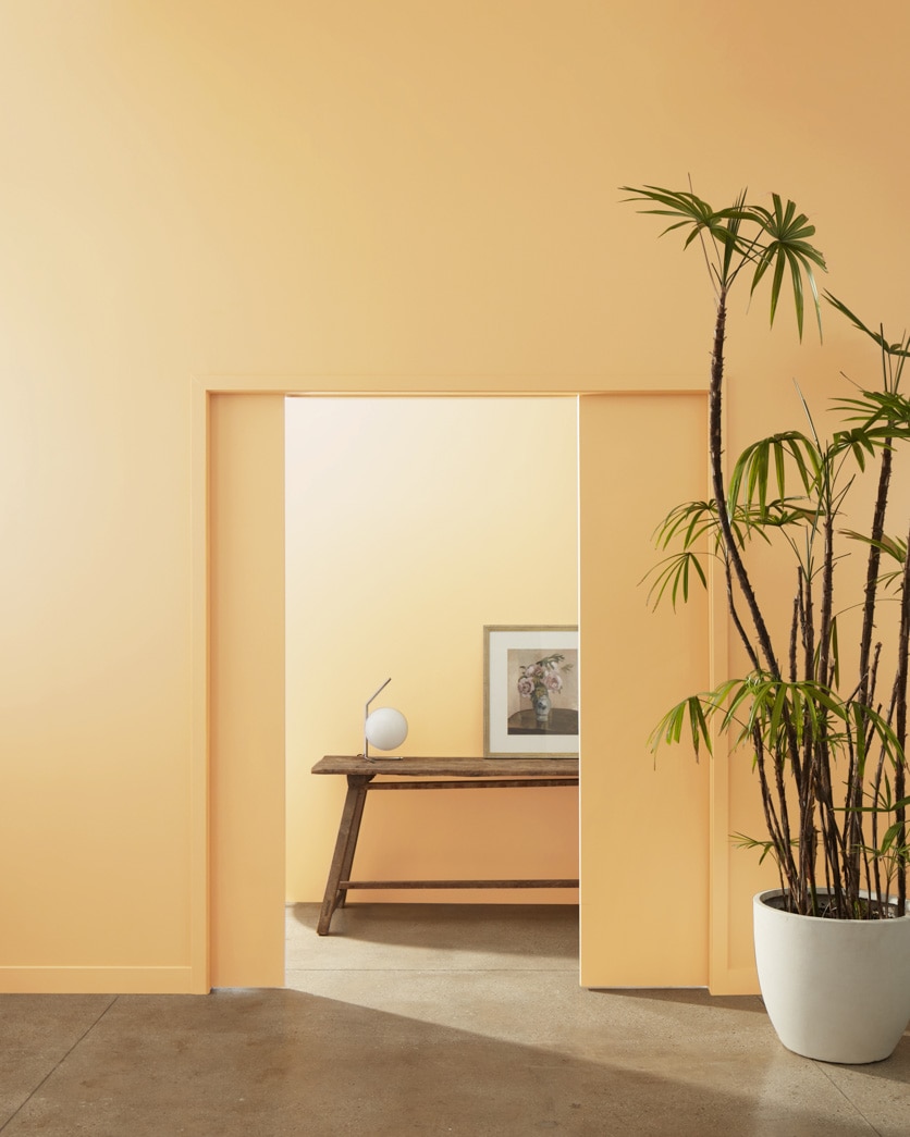 Painted wall in Roasted Sesame Seed 2160-40