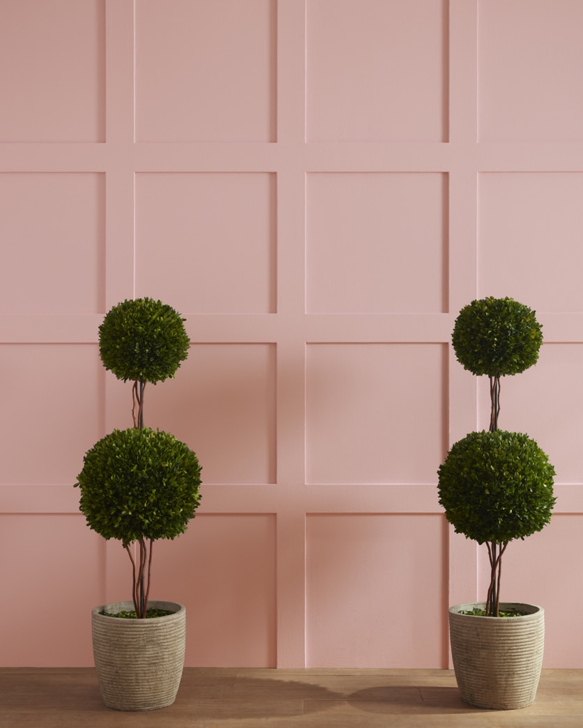 Painted wall in Rose Bisque 2102-50