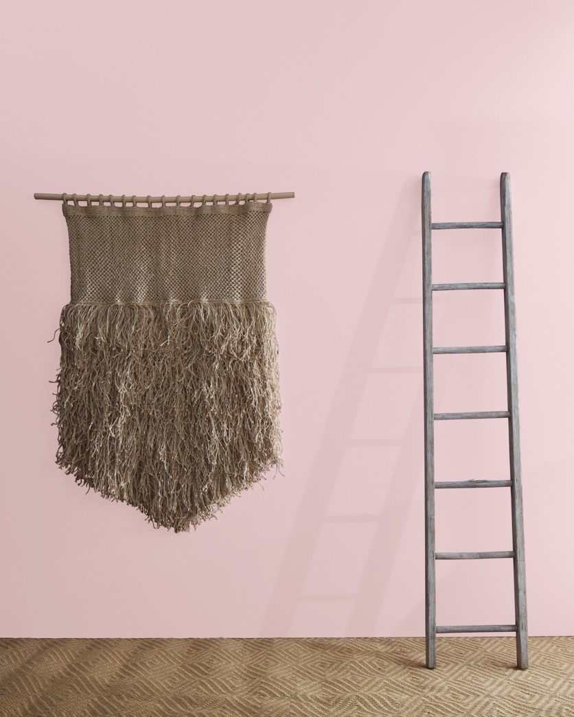 Painted wall in Rose Lace 1254
