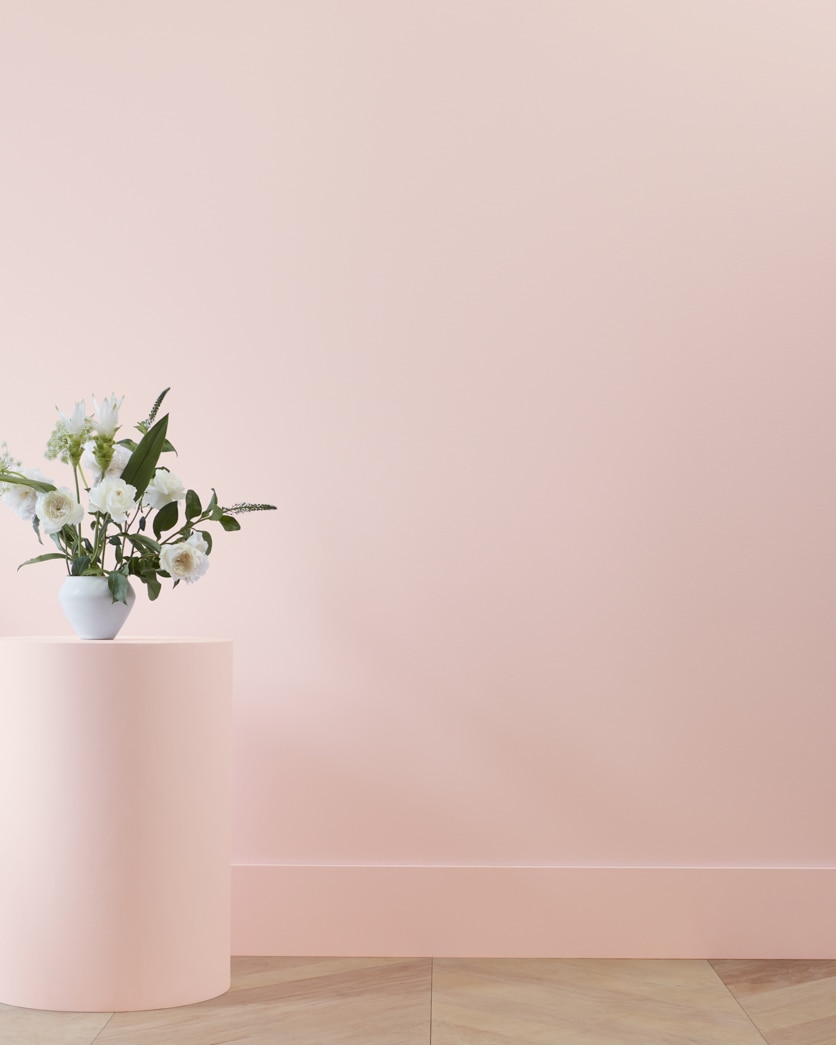 Painted wall in Rose Silk 2104-60