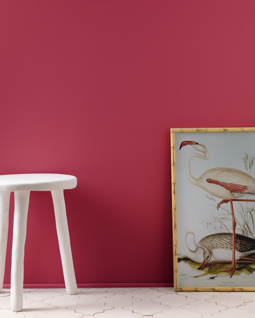 Painted wall in Roseate 2078-10