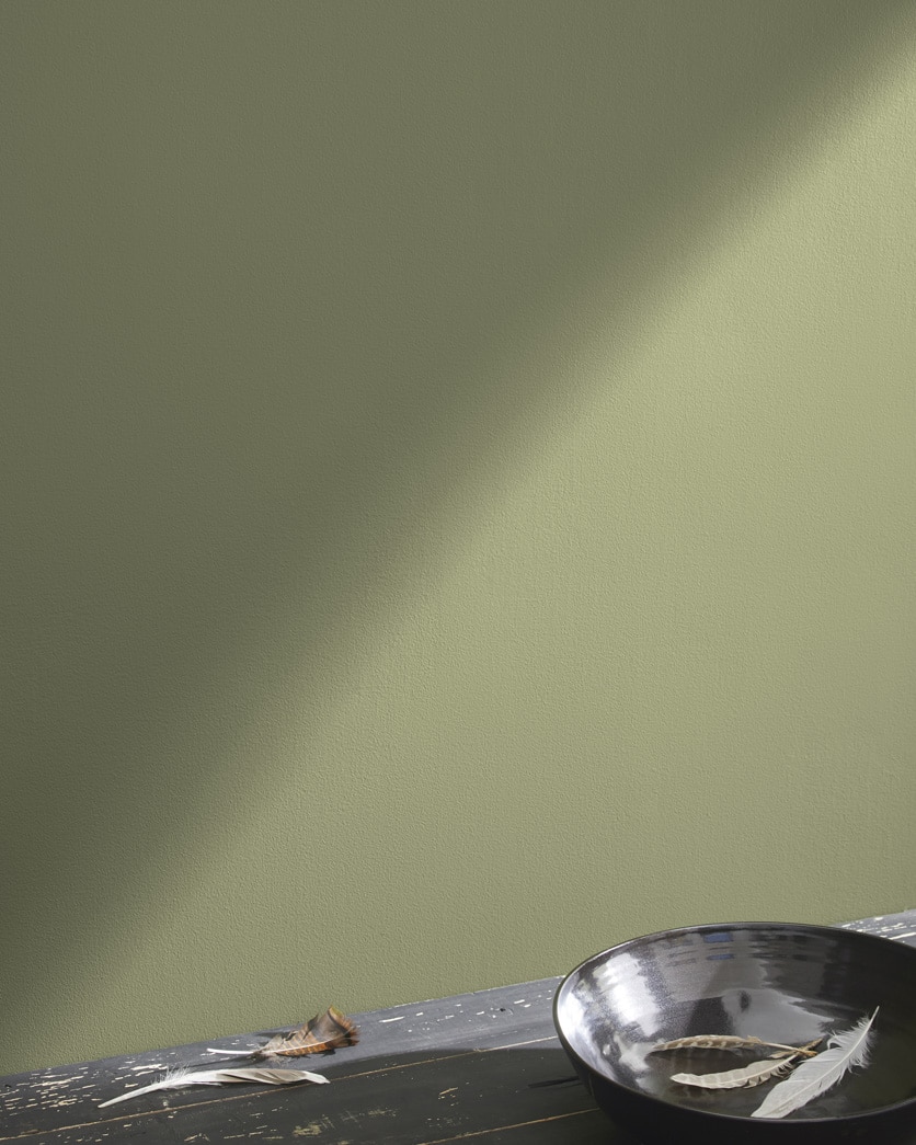Painted wall in Rosemary Sprig 2144-30