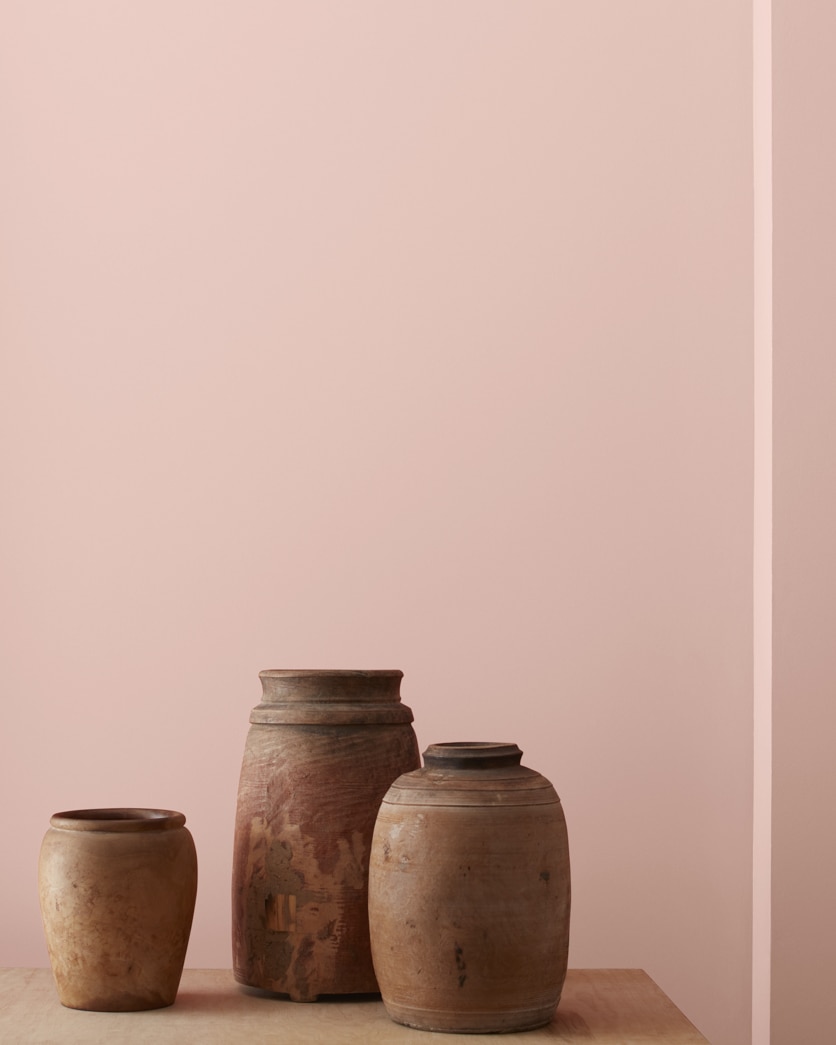 Painted wall in Rosetone 1186