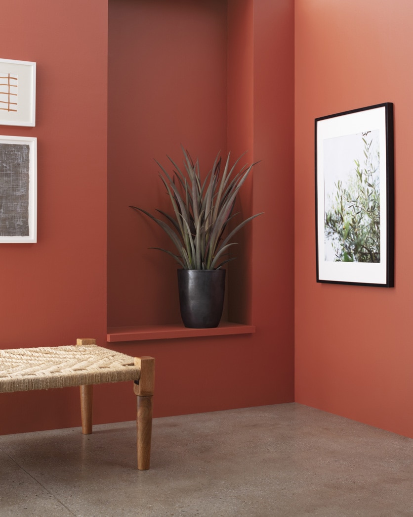 Painted wall in Rosy Peach 2089-20