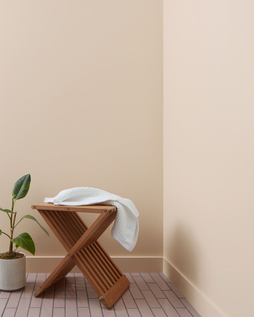 Painted wall in Royal Flax CSP-315