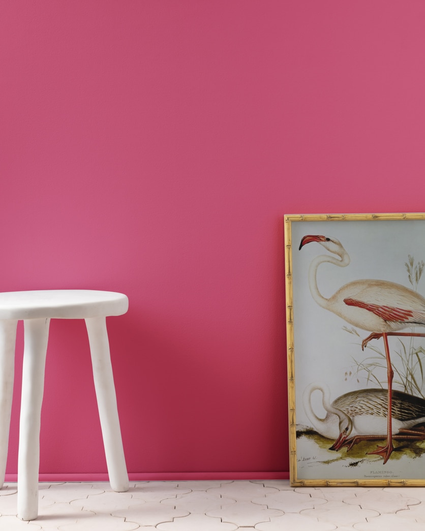 Painted wall in Royal Fuchsia 2078-30